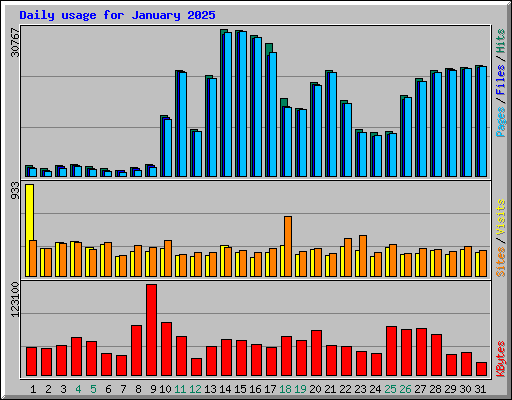 Daily usage for January 2025