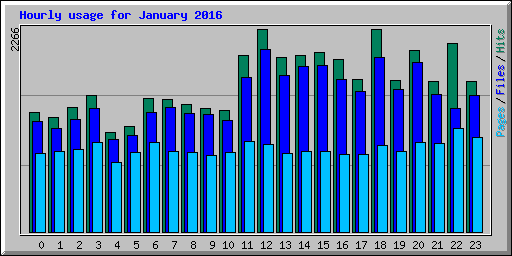 Hourly usage for January 2016