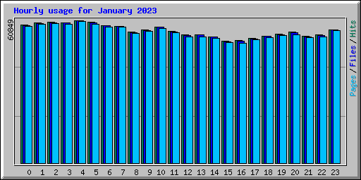 Hourly usage for January 2023