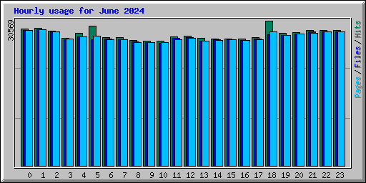 Hourly usage for June 2024