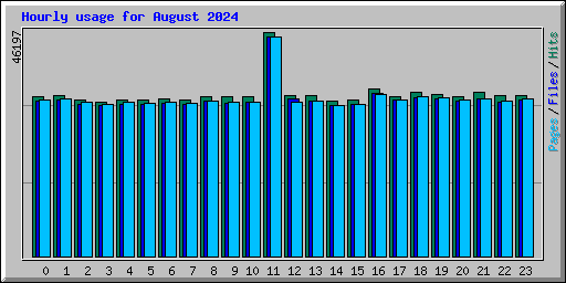 Hourly usage for August 2024