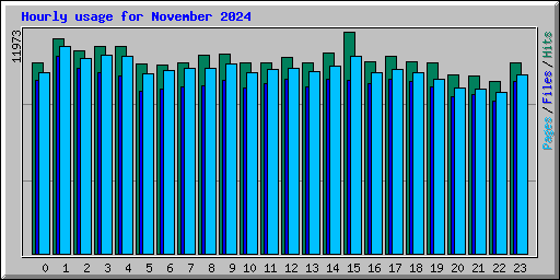 Hourly usage for November 2024
