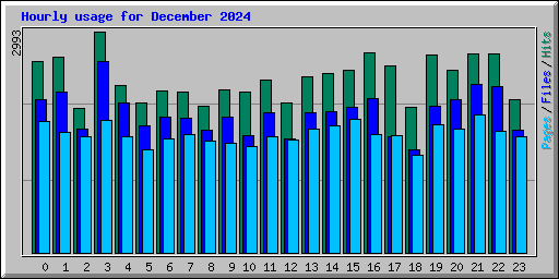 Hourly usage for December 2024