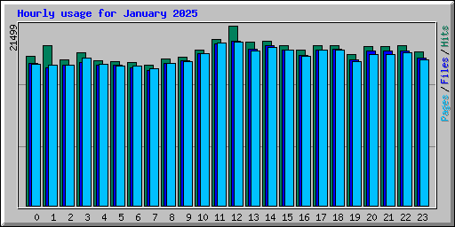 Hourly usage for January 2025