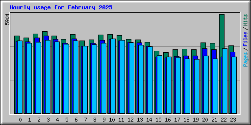 Hourly usage for February 2025