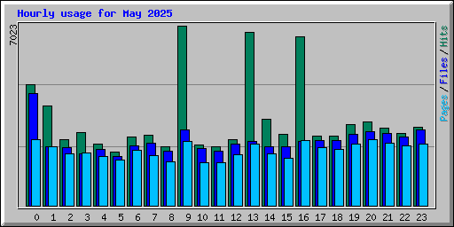 Hourly usage for May 2025