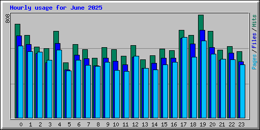 Hourly usage for June 2025