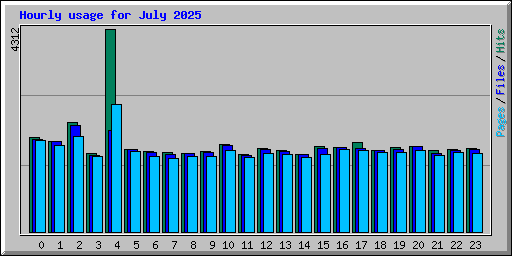 Hourly usage for July 2025