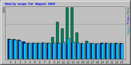 Hourly usage for August 2025