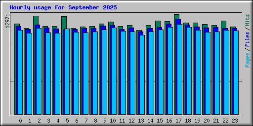Hourly usage for September 2025