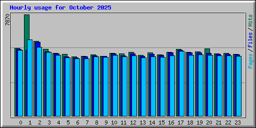 Hourly usage for October 2025