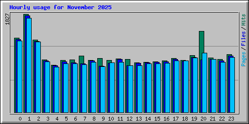 Hourly usage for November 2025