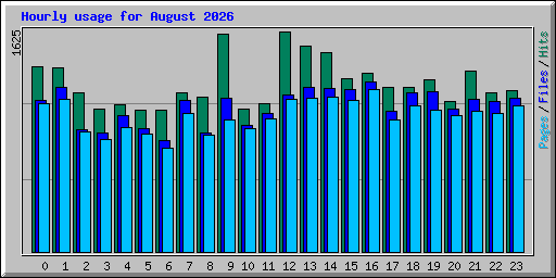 Hourly usage for August 2026